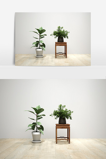 室内艺术景观植物模型图片