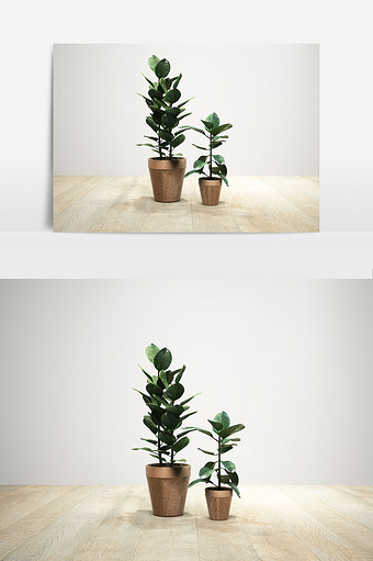 室内外盆栽植物模型图片