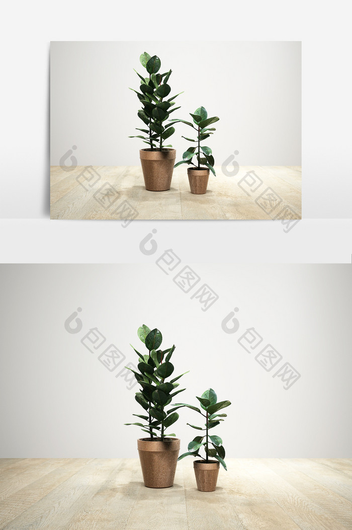 室内外盆栽植物模型