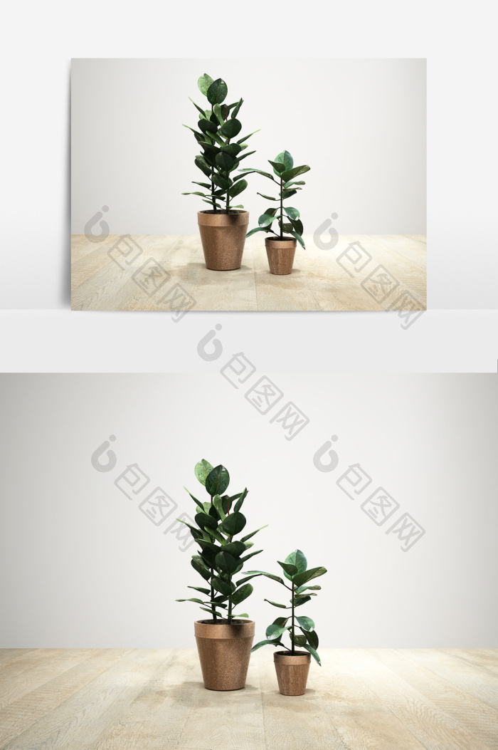 【室内外盆栽植物模型】图片下载-包图网