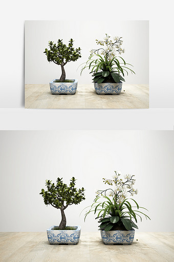 室内艺术盆栽植物模型图片