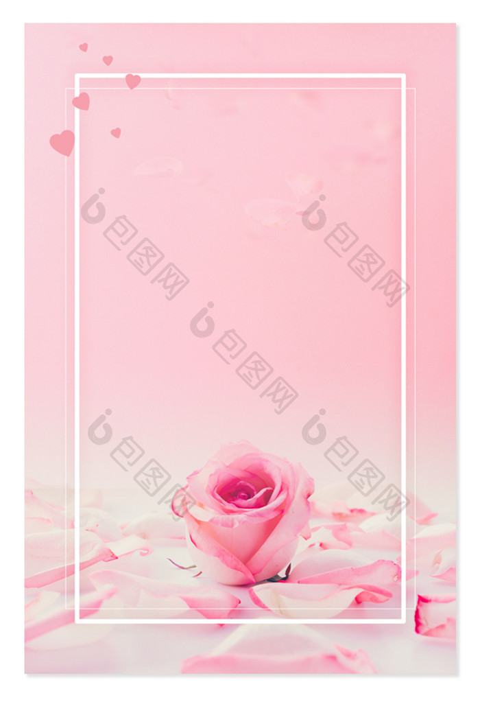 粉色玫瑰爱情浪漫情人节