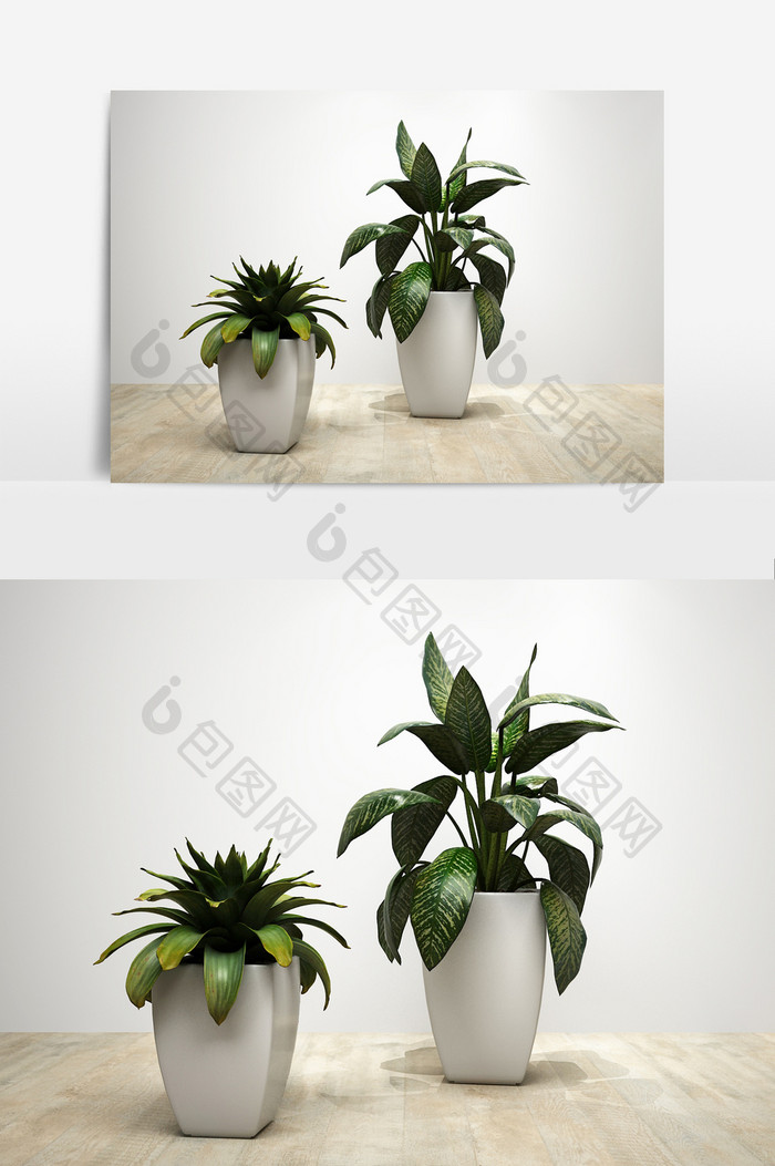 室内大叶装饰植物模型