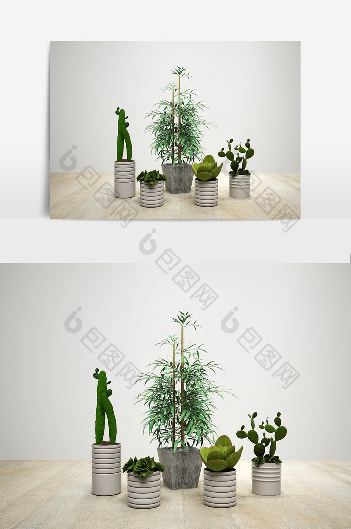 室内盆栽植物组合模型