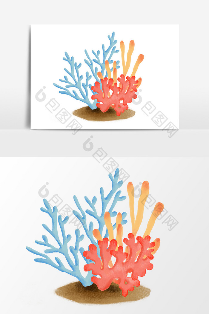 手绘彩色海藻图案插画素材