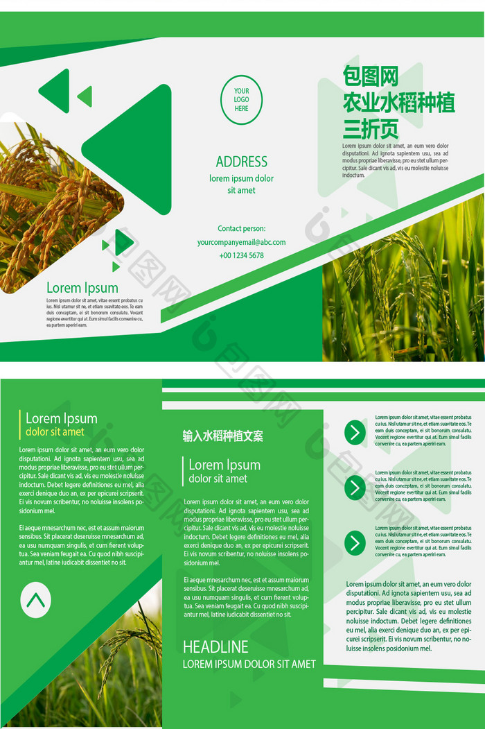 时尚绿色农业水稻种植三折页