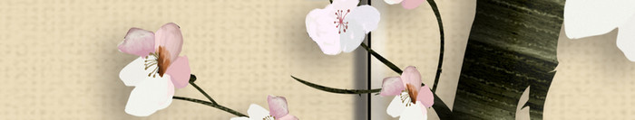 玉兰新中式花开富贵手绘工笔花鸟背景墙