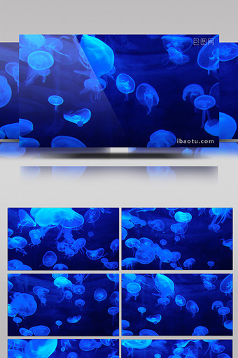 蓝色色调水母梦幻炫酷led视频素材图片