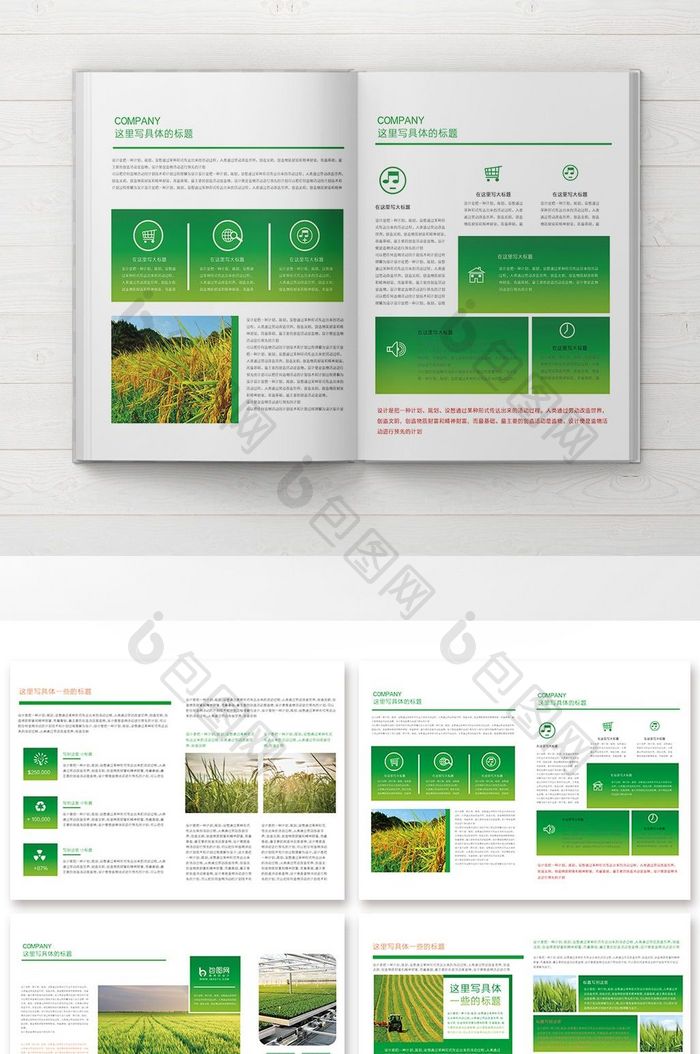 整套绿色时尚农业水稻种植画册