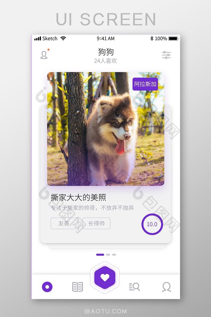 宠物社交评论APP首页界面设计