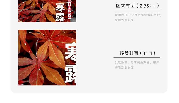 秋叶二十四节气寒露枫红色微信配图