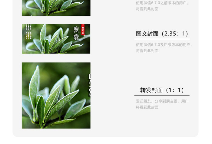 绿叶二十四节气寒露微信配图