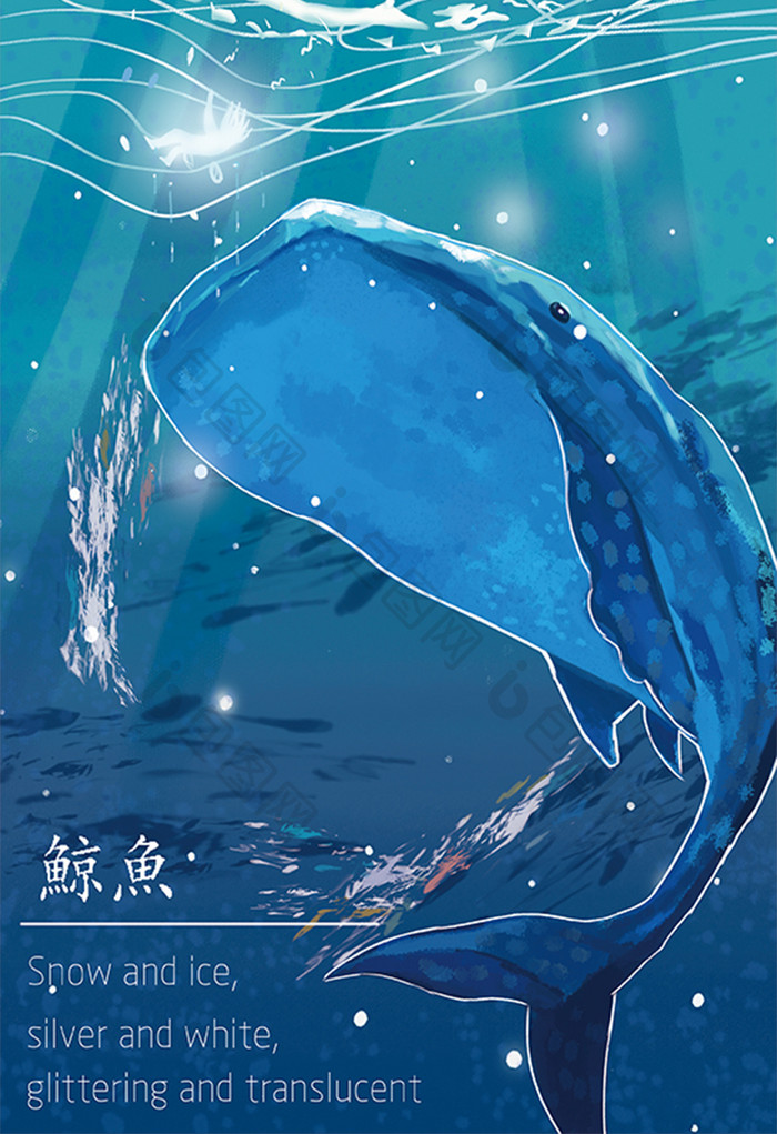 海底世界大海鲸鱼唯美手绘插画