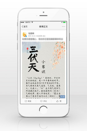 清新简约创意三伏天节气信息长图