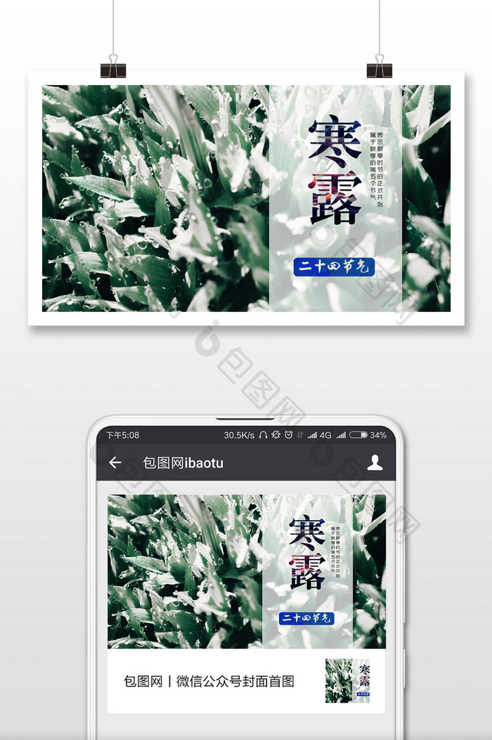 二十四节气寒露寒枝微信配图