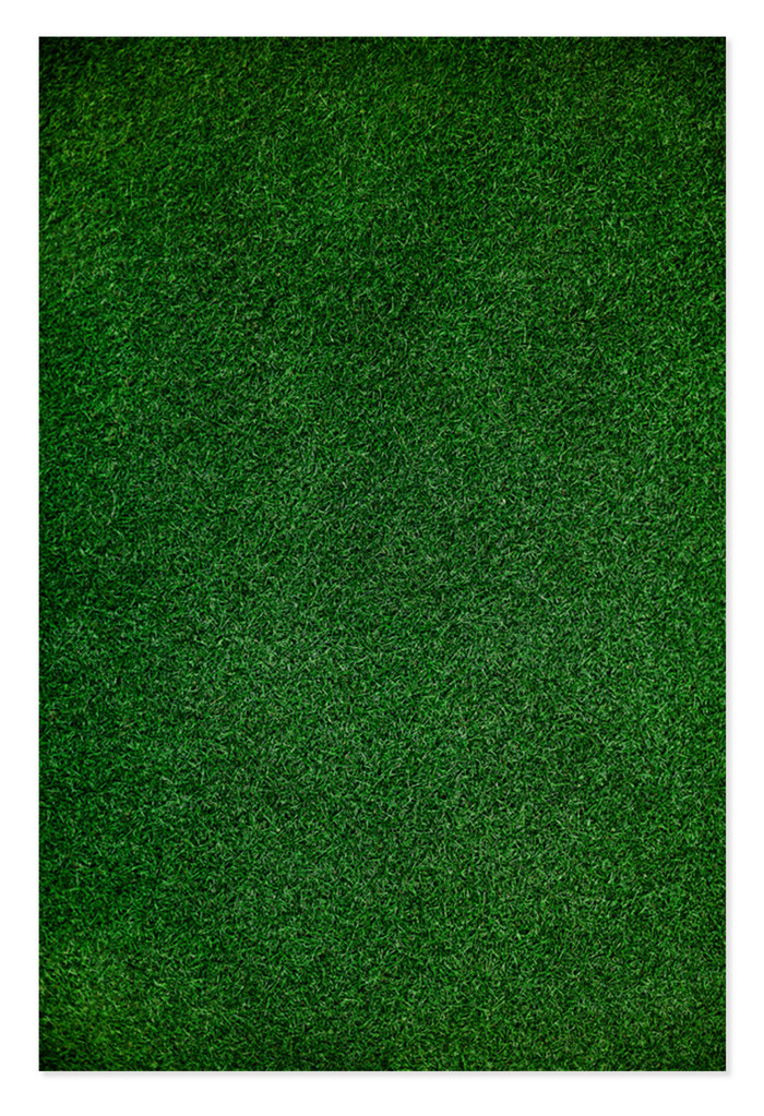 绿茵草坪特写自然健康图片