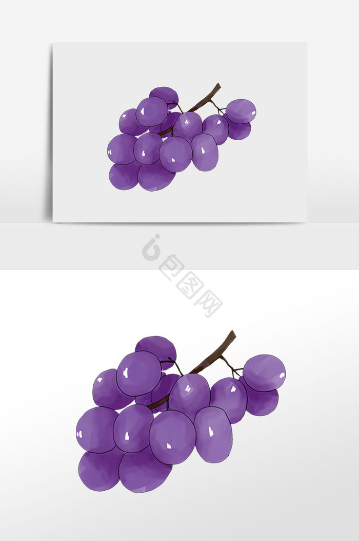寒露水果葡萄插画图片