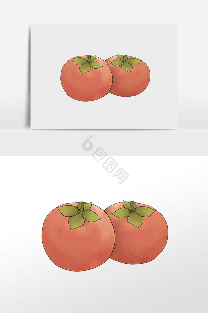 霜降柿子插画图片