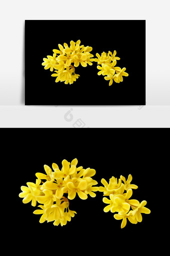金色植物花卉设计元素图片