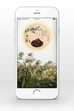 二十四节气寒露芦苇草剥核桃手机配图