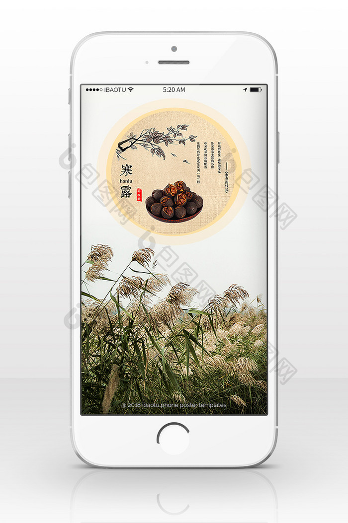 二十四节气寒露芦苇草剥核桃手机配图