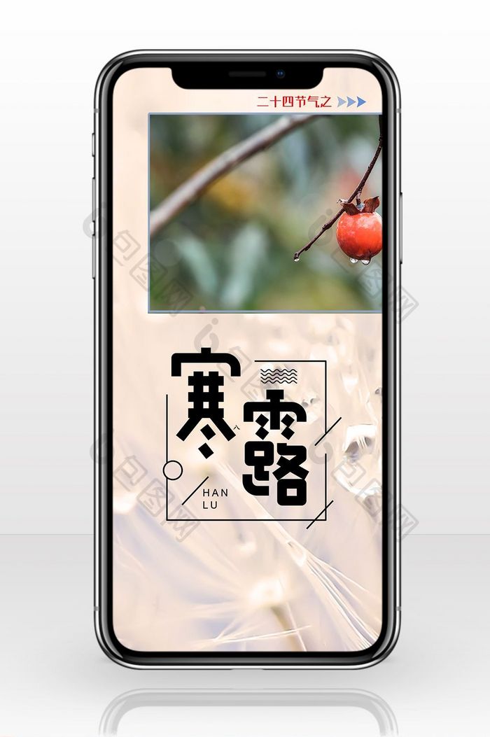二十四节气寒露露水淡紫手机海报配图