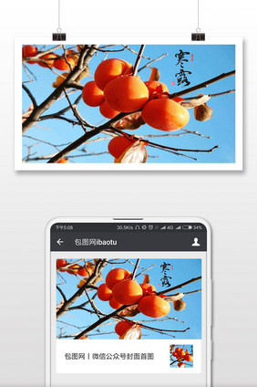 二十四节气寒露柿子挂树手机海报配图