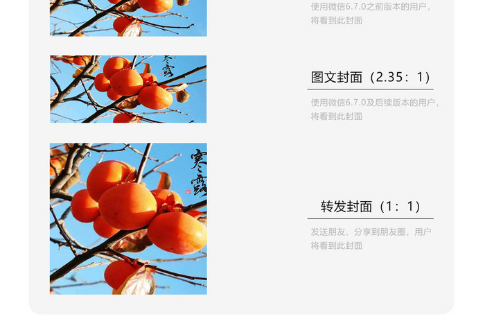 二十四节气寒露柿子挂树手机海报配图