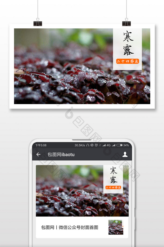 二十四节气寒露满地落叶手机配图