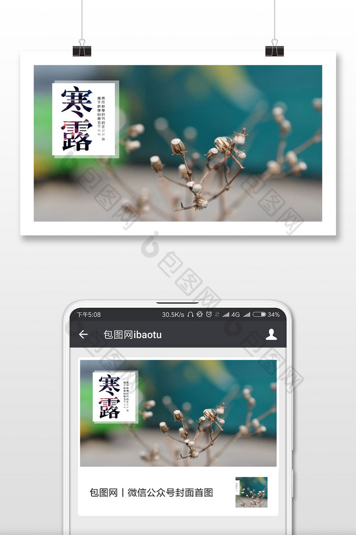 二十四节气寒露枯花手机海报配图