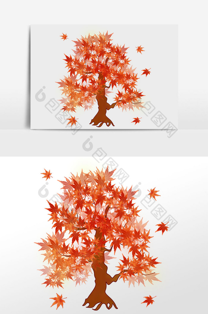 手绘植物树木枫叶插画元素