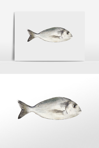 水彩手绘元素鲷鱼海鲷图片