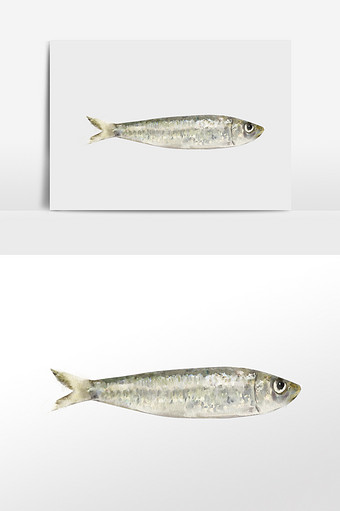 水彩手绘元素沙丁鱼图片
