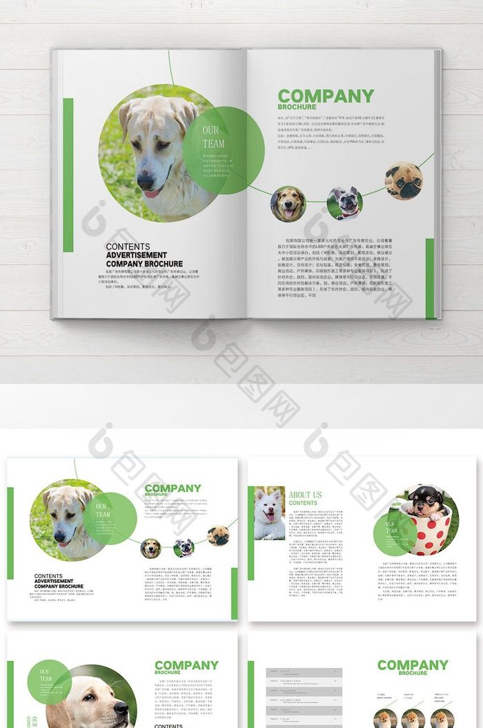 整套时尚大气绿色宠物店画册宣传册