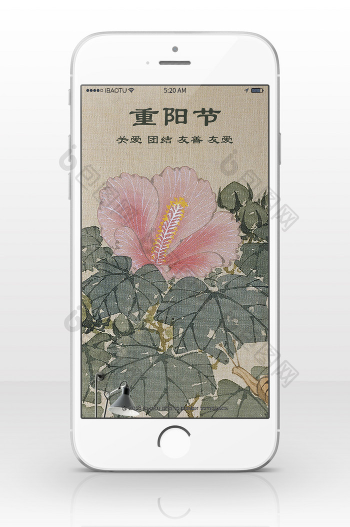重阳节花朵去感受大自然手机海报