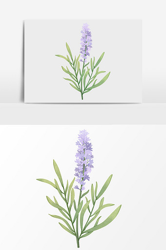 手绘卡通迷迭香元素图片下载