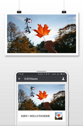 二十四节气寒露一片枫叶手机海报配图