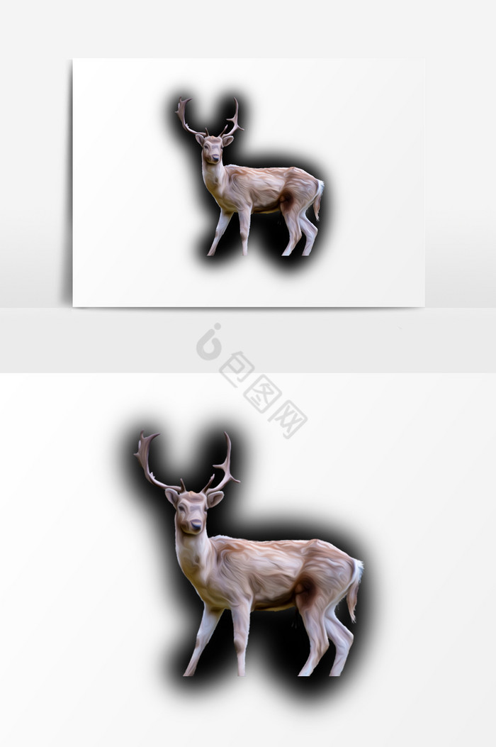 梅花鹿动物装饰图片