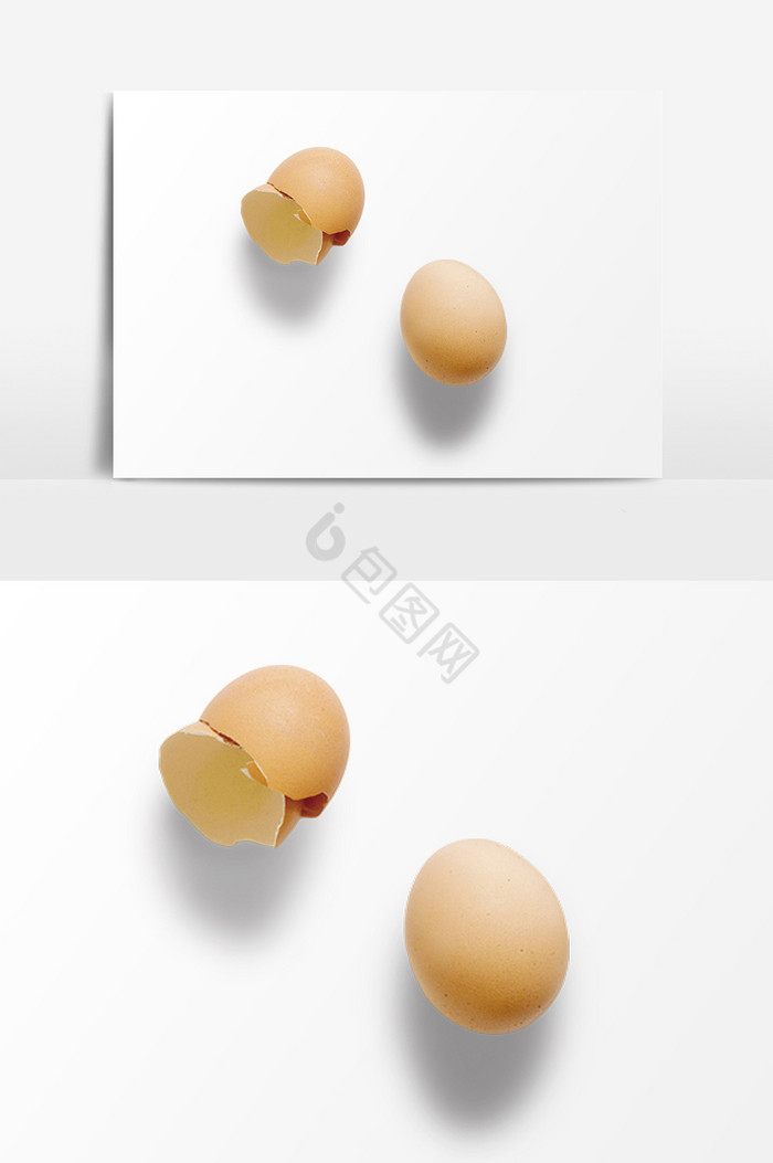 鸡蛋蛋壳高清写真图片
