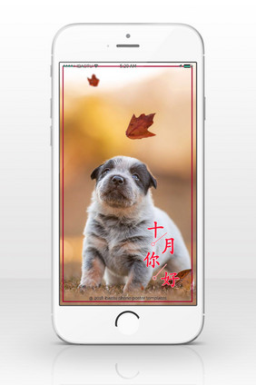 可爱小狗十月你好手机配图
