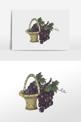 葡萄竹筐装饰插画图片