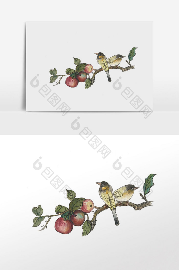 中国风国画苹果树枝与黄鹂鸟手绘插画元素