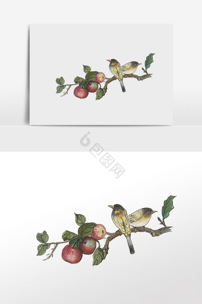 国画苹果树枝与黄鹂鸟插画图片