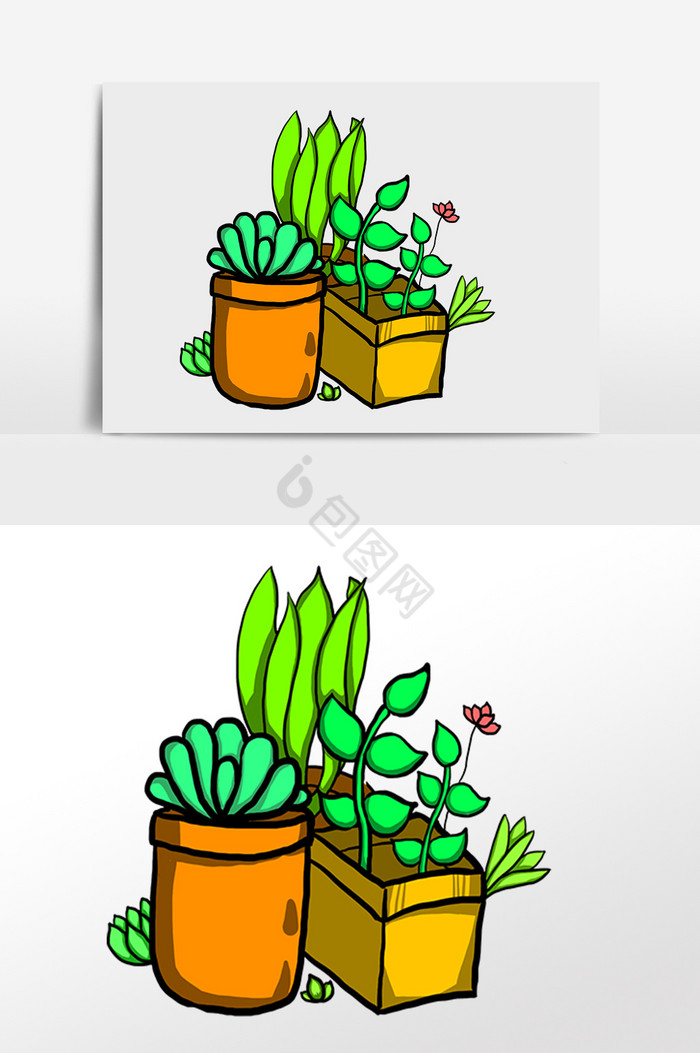 热带植物多肉插画图片