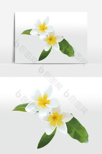 清新白色两朵小花元素图片