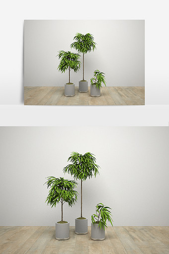 竹子盆栽组合模型图片