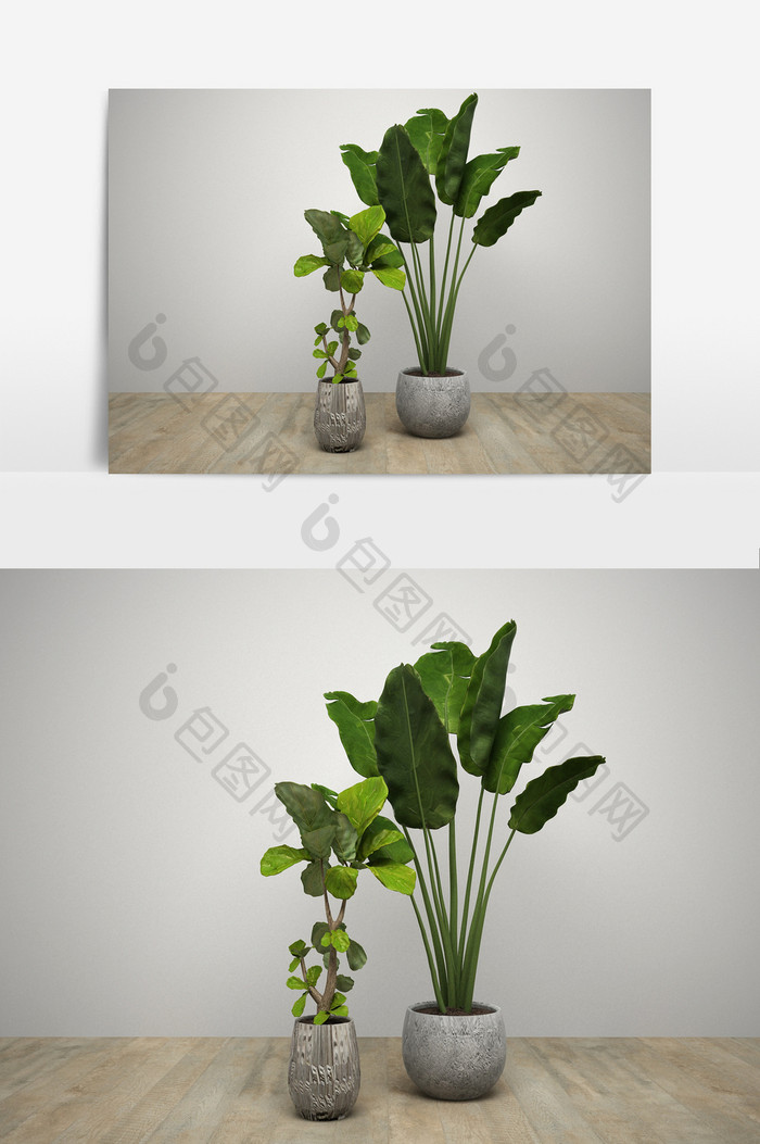 室内大叶植物盆栽组合模型