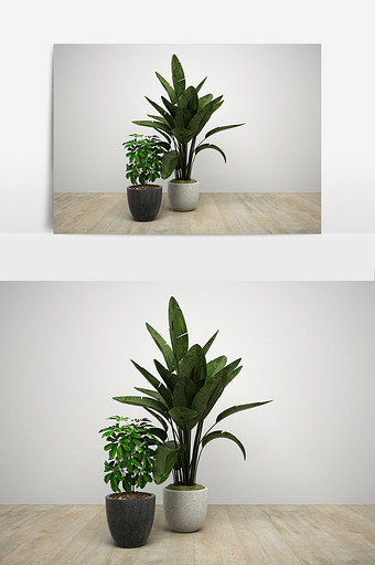 室内绿色盆栽组合模型图片