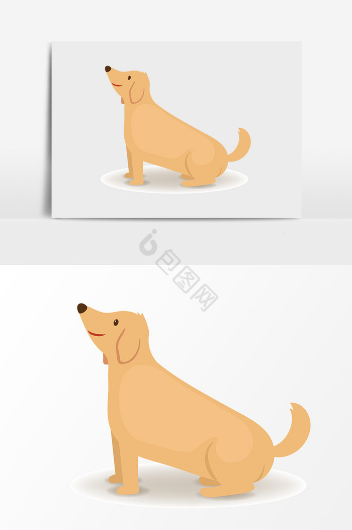 黄狗图片-黄狗素材免费下载-包图网