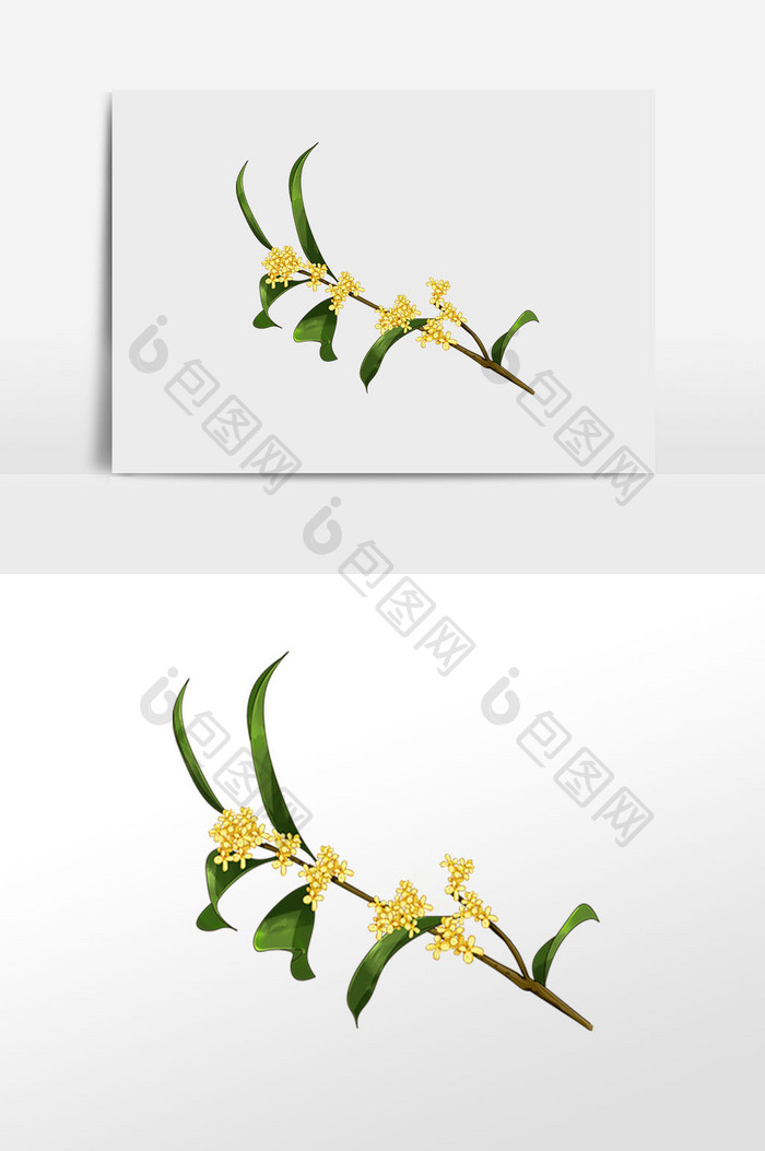 手绘秋天黄色桂花枝插画 Psd素材 包图网